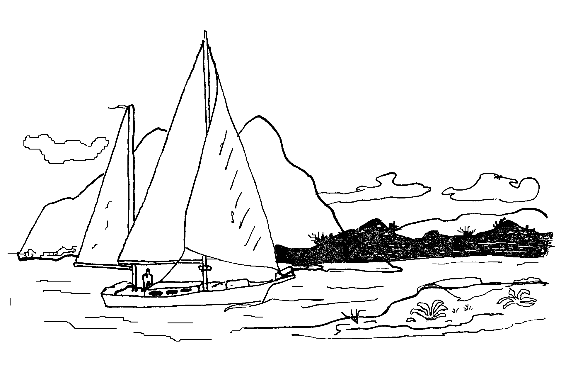 Sail Sys Org